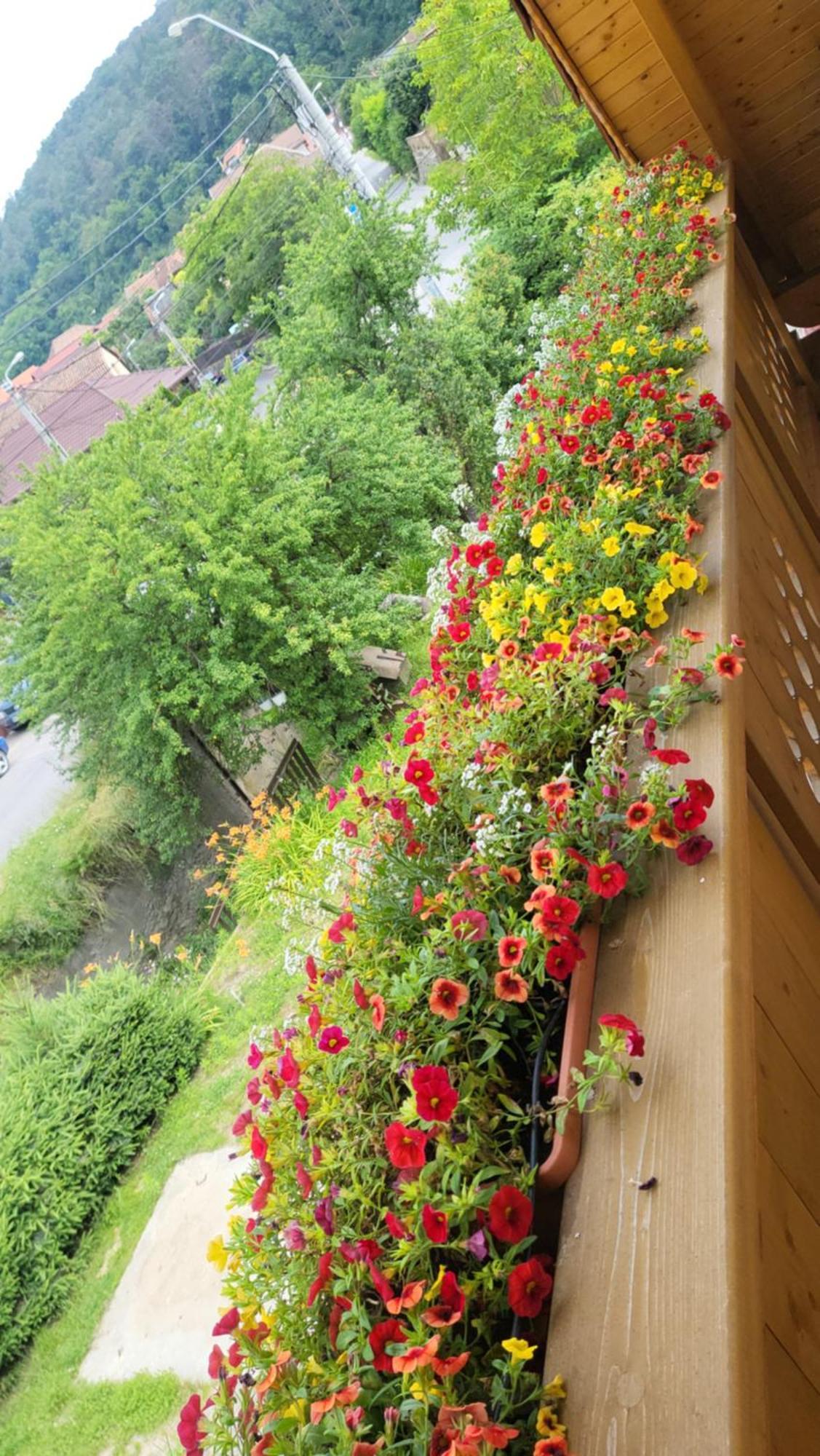 Willa Casa Hetrea Sighișoara Zewnętrze zdjęcie